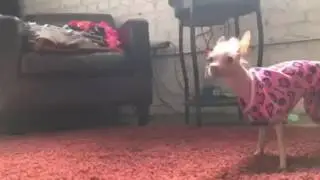 Daily game of TAG YOU'RE IT with momma