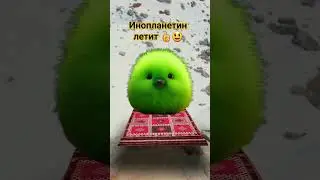 Инопланетянин летит на ковре самолёте😃👍😄