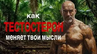 Как тестостерон меняет твои мысли. Эффективные способы повышения тестостерона.