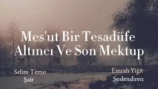 Mes'ut Bir Tesadüfe Altıncı Ve Son Mektup | Selim Temo (şiir)