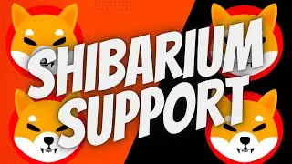 Shiba Inu How Many Projects Have Announced Support For Shibarium?