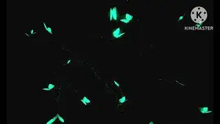 Blue  Butterfly fly in Black screen | Green screen | Butterfly Blending effect videos