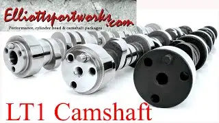 Lloyd Elliott Custom camshaft  LT1
