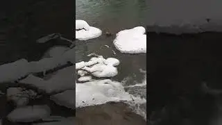 Верблюд пьёт воду у водопада.