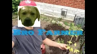 067BroD Bro Farmer Eats Peppers