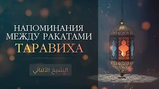 Напоминания между ракатами во время таравиха — Шейх Альбани