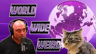 World Wide Weird