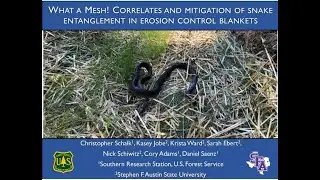 Wildlife Diversity Webinar Series - What a Mesh! Snake Entanglement in Erosion Control Blankets