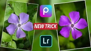 Mobile Photography Like DSLR || Picsart Editing || Lightroom Mobile