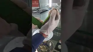 Альбом для записей карточных игр, Россия, Москва,  конец XIX - начало XX века. #shorts #антиквариат