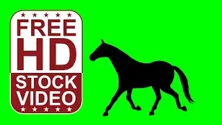 Free Stock Videos – horse silhouette galloping and resting on green screen seamless loop
