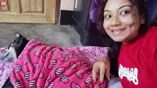 Fun and cute morning with my dog Shinchan 🐶 | His funny and happy reactions 😍😅