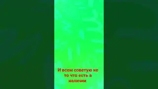 23 марта 2023 г.