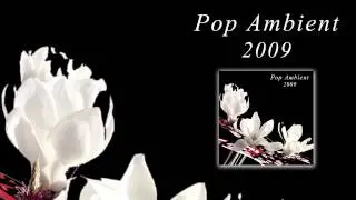 Sylvain Chauveau - Nuage Iii 'Pop Ambient 2009' Album