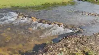 Koolangal River in Valparai
