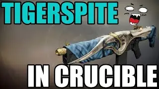 Tigerspite Auto Rifle in Destiny 2 Crucible Season of the Wish