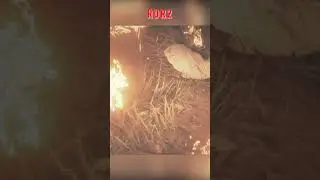 red dead redemption 2 gameplay  