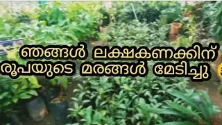 ഞങ്ങൾ മരങ്ങൾ മേടിച്ചു 😝 we baught trees from nursary