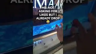 HOW MANY LIKES FOR PRO-FINGERBOARD DROP 🤔😂😑😭 #fingerboard #jokes