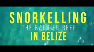 Island Expeditions - Snorkelling in Belize (by Duarte Dellarole)