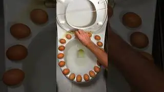 Do NOT try this on your toilet! 🚽⚠️