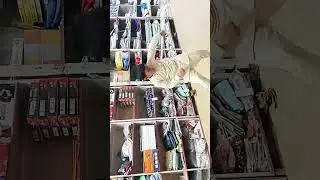 ZaiYan stick dance