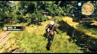 The Witcher 3 : Wild Hunt // GTX 750 Ti & AMD FX-6300