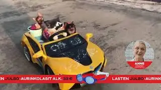 Lasten laadukkaat Julbo-aurinkolasit nyt alk. 33 €!