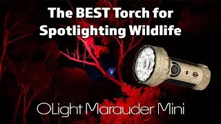 OLight Marauder Mini RGB LED Torch | @4xAdventures #camping #touring #olightmaurauder #olightworld