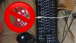 How to use keyboard and mouse on a Nintendo Switch