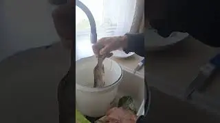 УЛОВ