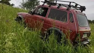 нива