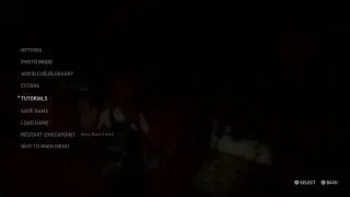 Last of us pt 2