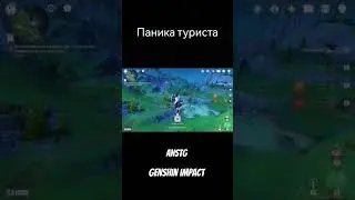 Паника туриста | Genshin Impact AnstG 