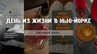 Один день из жизни в Нью Йорке. Цели на 2025 год, мысли про социальные сети, уборка