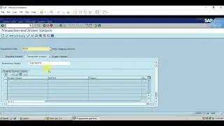 #28. TRANSACTION/ SCREEN VARIENT IN SAP FICO (LEARN & EDUCATE)