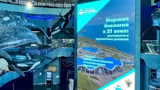 Международная научная конференция «Морская биология в 21 веке: достижения и перспективы развития»