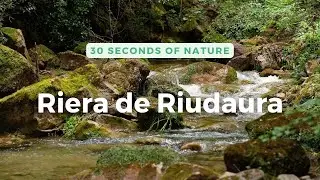 30 segundos en la Riera de Riudaura | Zona Volcánica de la Garrotxa