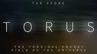 Torus: The Toroidal Energy Field of the Universe [The Spore]