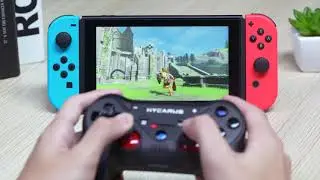 HYCARUS Nintendo Switch Controller with Built-in Gyro Sensor and Rumble Functions