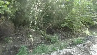 ПЛАНОМЕРНОЕ УНИЧТОЖЕНИЕ ЛЕСА (РАЙОН ХУТОРА УБЫХ) ДЛЯ ПРОДАЖИ ЗЕМЕЛЬНЫХ УЧАСТКОВ.