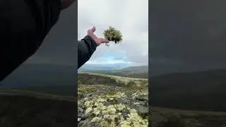 Сходили туда, куда позволила погода…