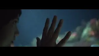 Bermuda Noise Teaser