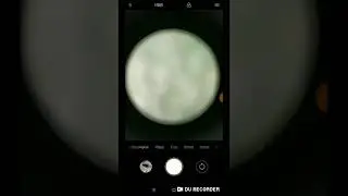 Pengambilan gambar laba laba mangsa lalat sampai tak tersisa