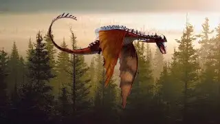 Книга драконов разнокрыл