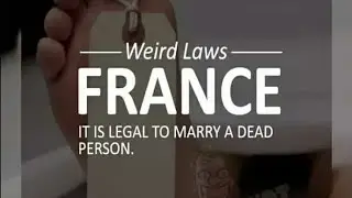 9 Wired Laws Around The World
