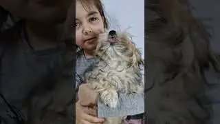 Япочка 💜