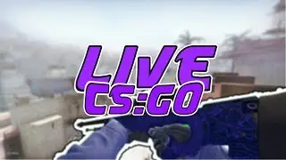🔴 Jogando Cs:Go 🔴