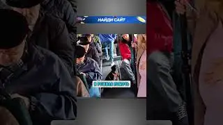 Собака уступила ей место🤯