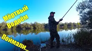 Осенняя рыбалка на фидер. Ловим на Погибшем водоёме!!!